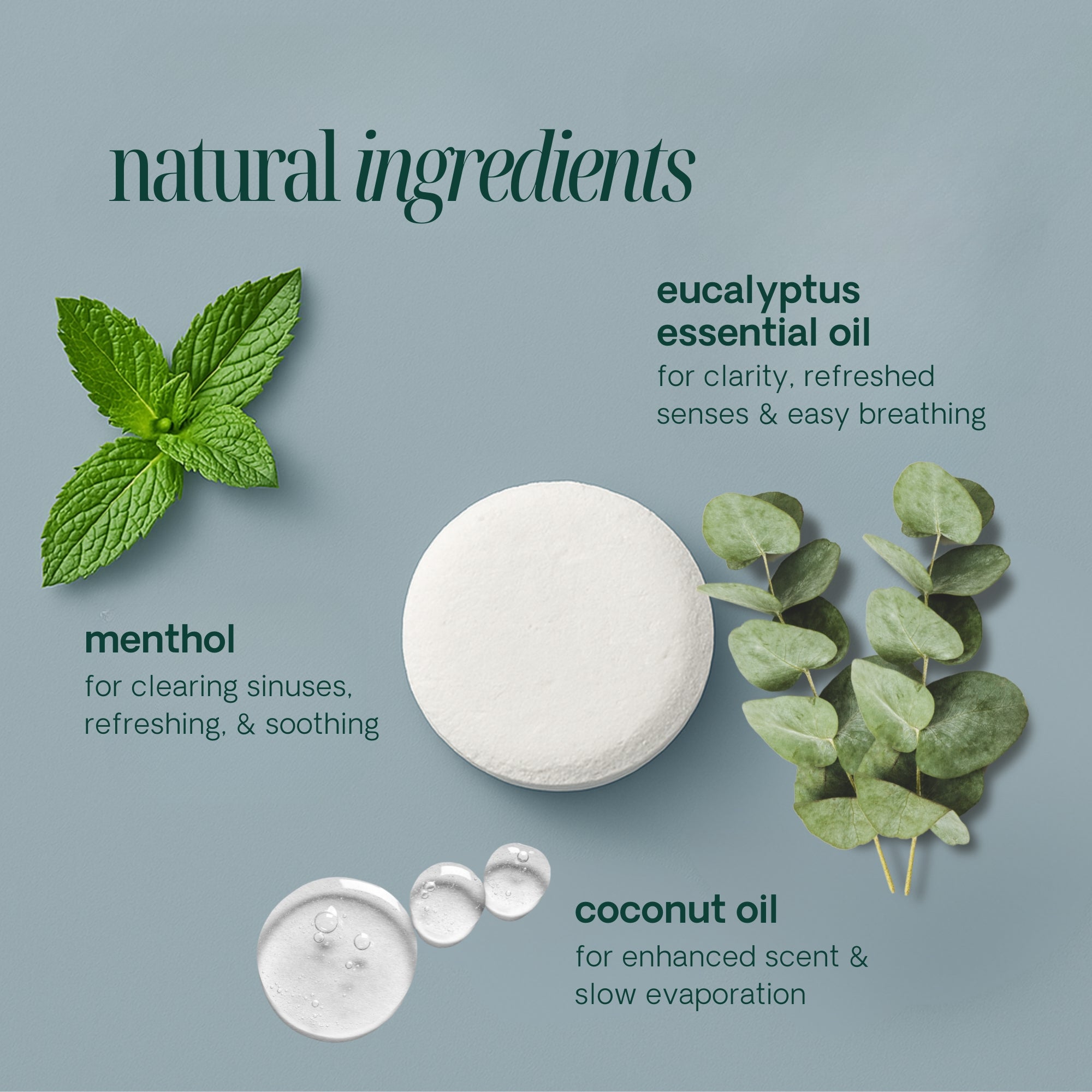 Eucalyptus Natural Essential Oil Shower Steamers - 10 Pack