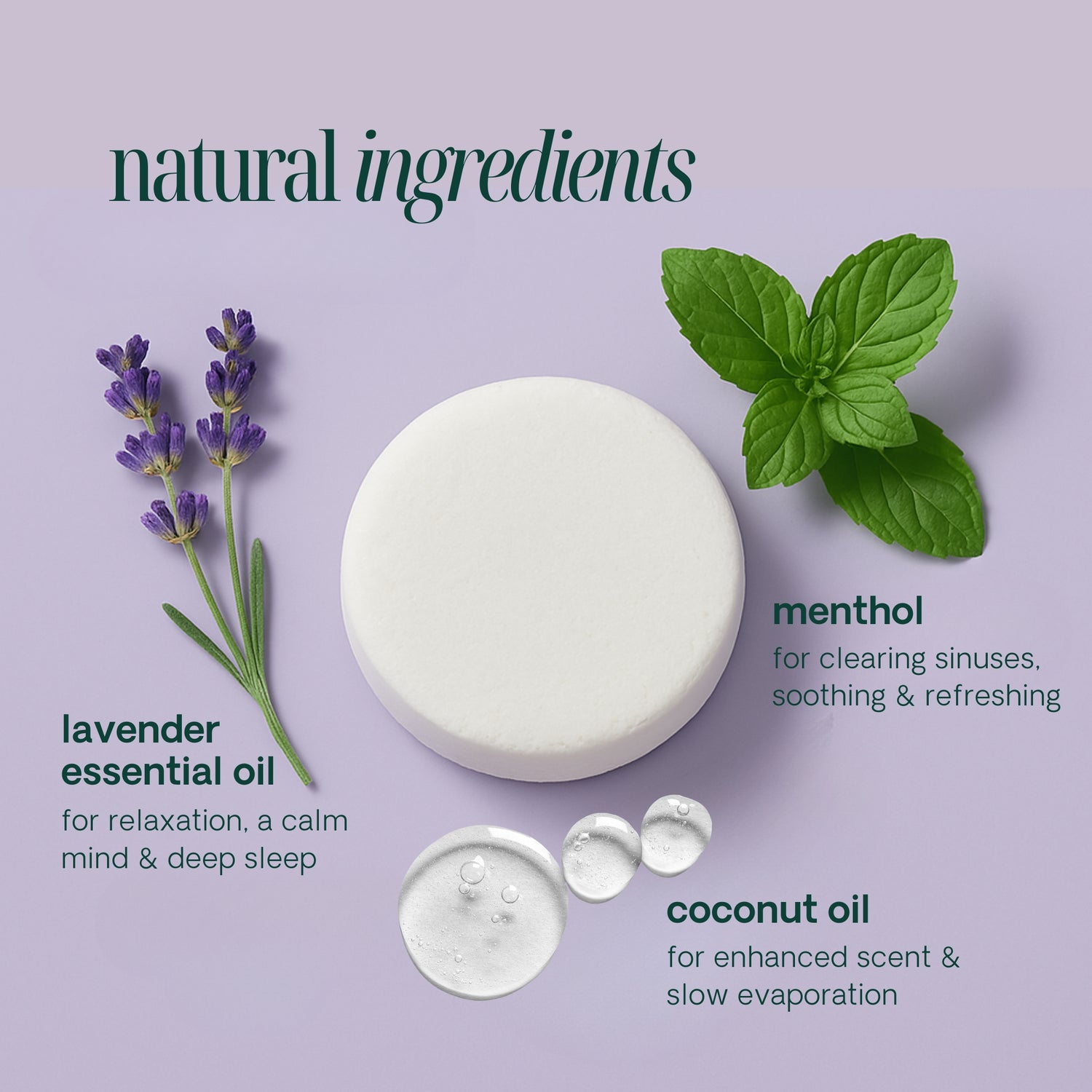 Lavender 10 Pack